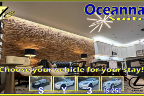 Oceanna Drive a TESLA during your all-inclusive stay!